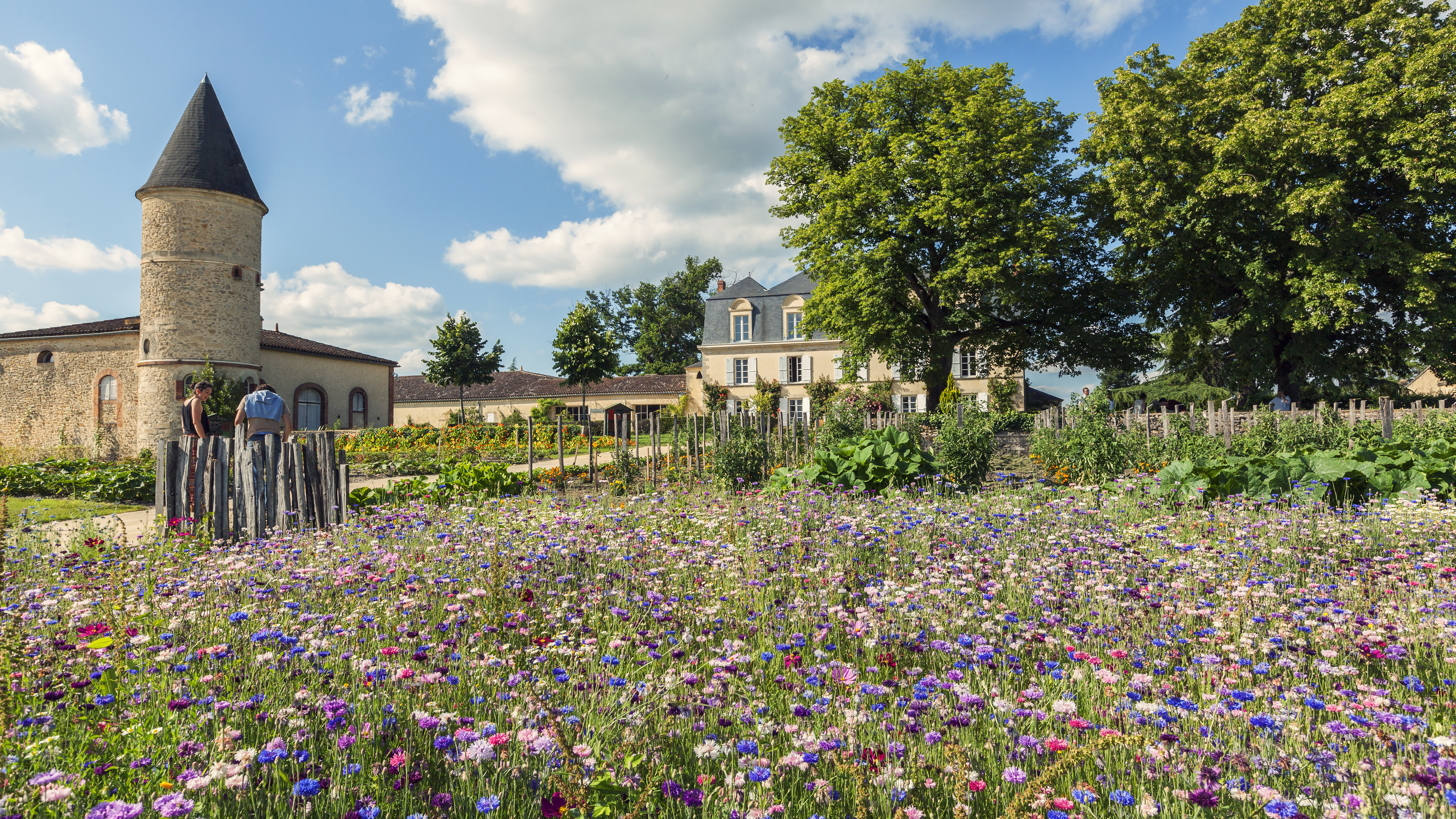 Jardin bio du château Guiraud